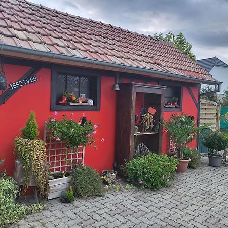 Au Gre De L'Ill "Les Toits D'Horbourg" Lejlighed Eksteriør billede